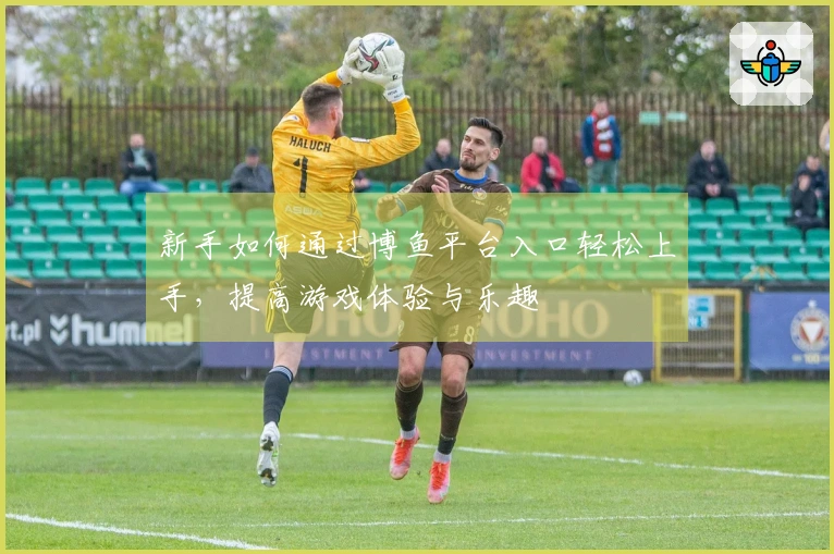 新手如何通过博鱼平台入口轻松上手，提高游戏体验与乐趣